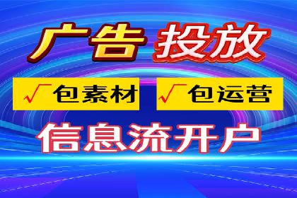 专业SEM服务公司案例分析报告